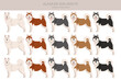 © a7880ss - Alaskan malamute all colours clipart. Different coat colors and poses set