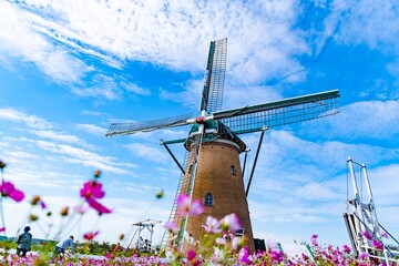 Canvas Print - windmill