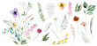 Floral bouquet made of watercolor wildflowers and leaves, wedding and greeting illustration