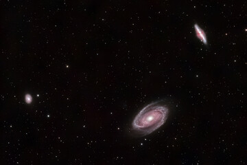 Wall Mural - M81 Galaxy Group - Bode's Galaxy; Cigar Galaxy; Garland Galaxy