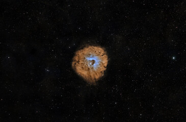 Wall Mural - Sh2-170 - Little Rosette Nebula
