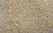 Fine beach sand background, close-up shot. Sea sand wallpaper. Almost even distribution of light. Beach sand contains quartz (silica) and feldspar.