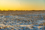 Fototapeta Maki - Winter landscape. Snowcovered farmland fields during sunset.
