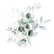 © Veris Studio - Watercolor floral illustration bouquet - green leaf branches collection, for wedding stationary, greetings, wallpapers, fashion, background. Eucalyptus, olive, green leaves, etc.