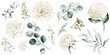 Leinwandbild Motiv Watercolour floral illustration set. White flowers, green leaves individual elements collection. Rose, peony, eucalyptus. For bouquets, wreaths, wedding invitations, anniversary, birthday, prints. 