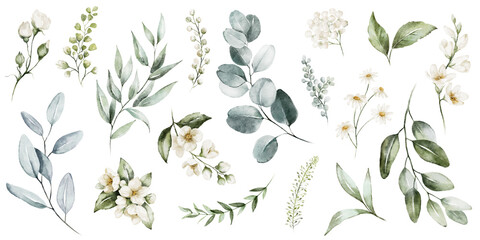 Wall Mural - Watercolour floral illustration set. White flowers, green leaves individual elements collection. Green branches, eucalyptus, chamomile. For wedding invitations, anniversary, birthday, prints, posters.