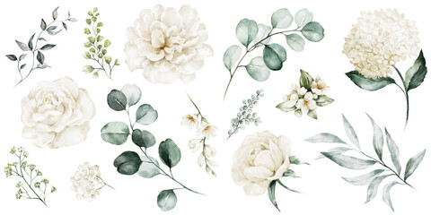 Wall Mural - Watercolour floral illustration set. White flowers, green leaves individual elements collection. Rose, peony, eucalyptus. For bouquets, wreaths, wedding invitations, anniversary, birthday, prints. 