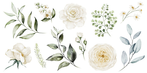Wall Mural - Watercolour floral illustration set. White flowers, green leaves individual elements collection. Rose, peony, eucalyptus, chamomile. For wedding invitations, anniversary, birthday, prints, posters.