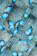 Creative Artistic Collage Of Blue Butterflies