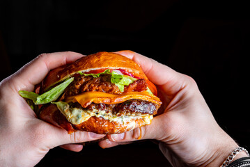 Wall Mural - Man's hands holding burger with meat, cheese and vegetables