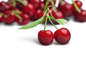 Wall Mural - Two Red Cherries Isolated from a Group of Cherries