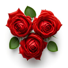 Sticker - Red rose flowers isolated on white background. Generative AI