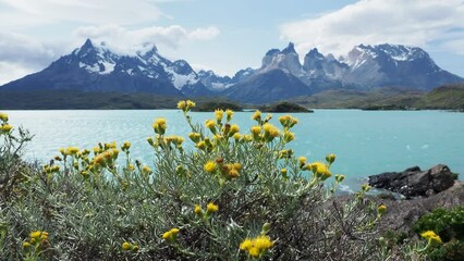 Poster - lake in the mountains Patagonia