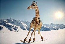  A Giraffe Is Riding A Snowboard In The Snow With Mountains In The Background And Sun Shining On The Snow Covered Ground Behind It, With A Clear Blue Sky And White Background.