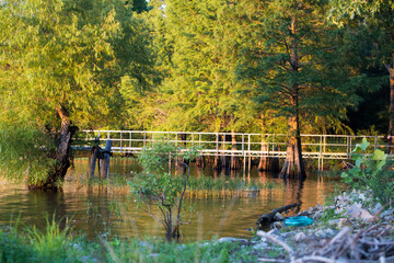 fishing at the lake