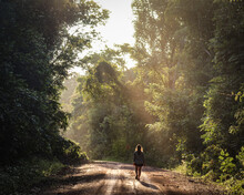 Mulher Caminhando Em Estrada Iluminada Por Raios De Sol Na Floresta Nacional Do Jamari, Rondônia
