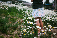 Girl In Floral Skirt In Middle Of Daisy Flower Field And Green Grass