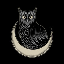 Vector Owl With Moon Illustration