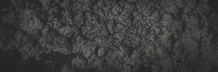 Wall Mural - Natural texture of a stone covered with lichen. Lichen patterns on a rock surface. Natural background. Closeup top view. Faded dark wide panoramic background for design.
