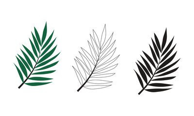 Wall Mural - Vector illustration of green palm leaves isolated on white background