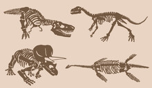 Graphical Big Vintage Set Of Dinosaurs On Sepia Background, Vector Illustration.Fossils