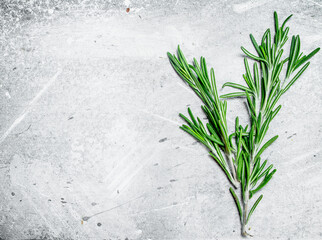 Poster - Fresh fragrant rosemary.