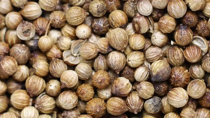 Poster - a large pile of dried coriander rotates in a circle. view from above