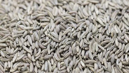 Poster - a large pile of natural dried cumin seeds rotates in a circle