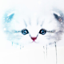 Sad Cat, Cute Crying And Very Sad Small White Kitten With Striking Blue Eyes Generative Ai Illustration