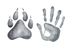 Watercolor Illustration Of Hand Painted Grey Hand Print Of Man, Woman, Child And Paw Of Wolf With Claws. Foot Print Of Dog. World Animal Day. Human And Animal Friendship. Isolated Clip Art