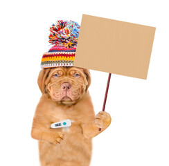 Poster - Unhappy sick puppy wearing winter hat holds thermometer and shows empty placard. isolated on white background