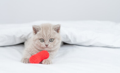 Poster - Cute tiny kitten hugs red heart on a bed under warm white blanket. Valentines day concept. Empty space for text