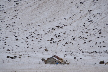 Poster - snow covered house