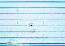Aerial View Of Swimmers In Olympic Swimming Pool, Tenerife Top Training, Santa Cruz De Tenerife, Spain