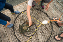 Circular Crab Trap On Wooden Dock Surrounded By Hands And Feet