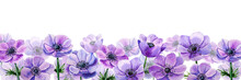 Watercolor Lilac Flower Anemone