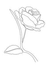 Poster - One continuous line of Rose Flower. Thin Line Illustration vector concept. Contour Drawing Creative ideas.