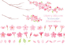 手描き水彩風　桜のイラスト素材セット
