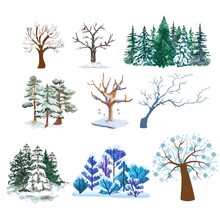 Winter Trees Vectors, Winter Trees Silhouette, Tree In Snow Illustration
