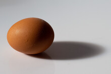 Sunlit Egg So That It Casts A Black Shadow Behind It
