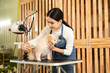 © tonefotografia - Female professional groomer combing dog fur at pet spa grooming salon