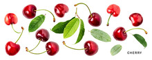 Fresh Red Cherry Fruits And Leaves. PNG With Transparent Background. Flat Lay. Without Shadow.