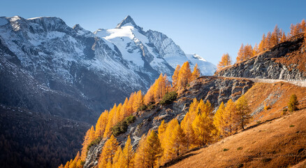 Fototapete - Incredible autumn landscape. Scenic view on mountain highland with colorful trees and perfect blue sky  in the background the beautiful Grossglockner. Amazing nature background. postcard