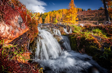 Wall Mural - Scenic image of mountains. Great view on waterfall, colorful trees on the alpine highland during sunset. Wonderful Nature landscape. Travel is a Lifestyle, concept. Amazing mountain autumn scenery.