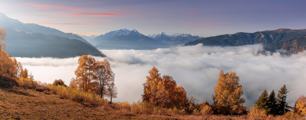 Fotobehang - Colorful foggy morning in the Alps mountains. autumn foggy scenery. Amazing nature background. Mountainous autumn landscape. Red folliage on trees and fog in the distant valley. Zell am see lake