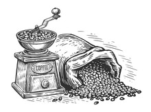 Coffee Beans And Coffee Grinder In Vintage Engraving Style. Drink Concept. Hand Drawn Sketch Illustration