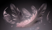 Pink Black Feathers Texture Background. Flying Pink Bird Or Angel Feathers. Digital Art
