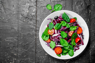 Sticker - Vegetable salad. Red cabbage, tomato and spinach salad with olive oil.