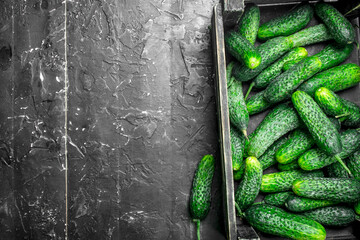 Sticker - Ripe cucumbers in the box.