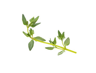 Fresh thyme isolated on transparent png